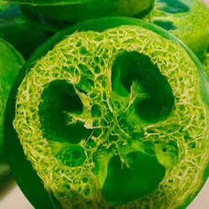 Lemongrass Loofah Bar Soap (organic & biodegradable) 110gr